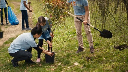 Team of volunteers planting trees around forest area for nature preservation and protection, doing...