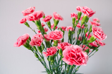 selective focus bouquet of pink carnations frame, gentle floral background