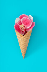 Ice cream cone with pink and white orchid flowers on aqua blue background. Minimal summer creative concept. Trendy ice cream with flowers idea. Flat lay.