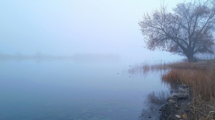 Fototapeta premium Lovely foggy morning by the water