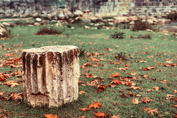 Ancient column ruins on green grass