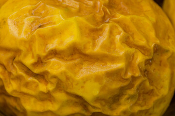 Macro texture photo of passion fruit peel.