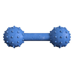 Knobbly dog toy Rubber isolated 3d rendered illustration