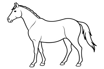 horse vector silhouette illustration