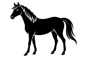 horse vector silhouette illustration