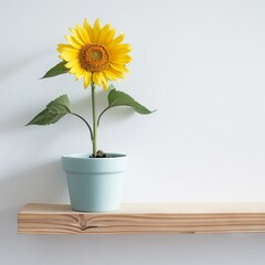 Obraz premium Sunflower background with copy space.