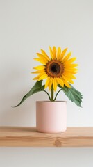 Obraz premium Sunflower background with copy space. Valentines day, mothers day, women's day concept.