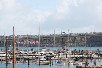 many boats in marina in front of the harbour bridge, auckland, new zealand, may 2024