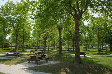 햇살 가득한 화창한 봄날의 초록색의 울창한 나무와 잔디밭이 어우러진 공원의 여유로운 풍경