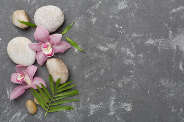 Composition with orchids and massage stones on concrete background, top view