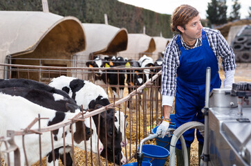 Confident farmer fills buckets with milk for calves at cow farm