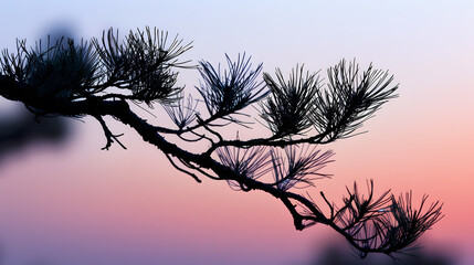the beautiful pine silhouette created by the sunset : Generative AI
