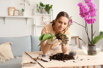 Female florist planting orchid flower at home