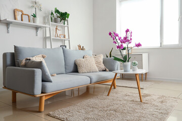Interior of light living room with sofa and orchid flower on table