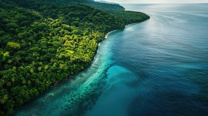 A breathtaking aerial view of a cliff above the ocean with stunning natural landscape, water merging with the sky, and terrestrial plants lining the beach AIG50 - Powered by Adobe