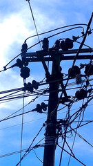 random Messy electrical cables and wires on electric pole on sky background.

