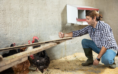Middle aged male farmer kneeling to feed hens in farm