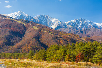 日本の風景　長野県白馬村　白馬三山と三段紅葉