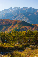日本の風景　長野県白馬村　唐松岳と三段紅葉
