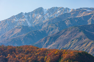 日本の風景　長野県白馬村　唐松岳と三段紅葉