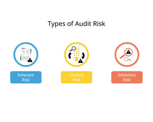 Type of audit risk for Inherent Risk, control risk, detection risk