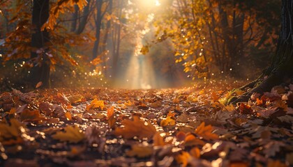 Autumn Sunbeam in the Forest: A Serene Scene of Leaves and Light