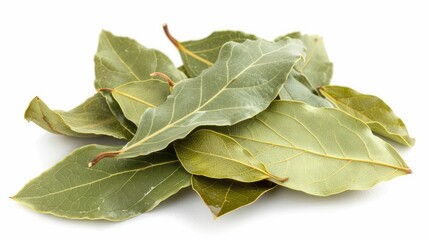 Fototapeta premium Isolated aromatic bay leaves on white background cutout