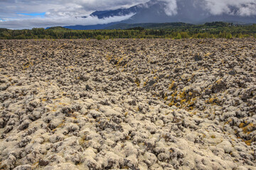 Moss-Covered Lava Flow at the Nisga'a Memorial Lava Beds