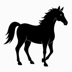horse silhouette isolated on white