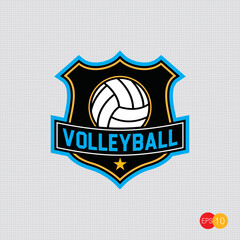 Volleyball team emblem logo design vector illustration