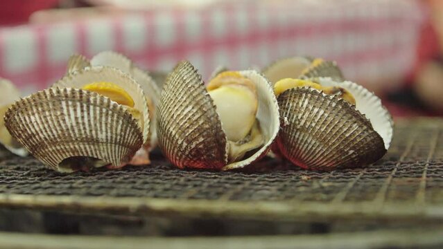 그릴 위 입을 벌린 조개구이(석쇠+연탄구이+해산물+요리+미식)