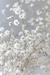 delicate soft white flowers closeup, ai