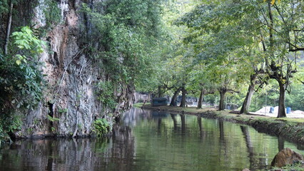 A riviera or canal with a scenic green vegetation and trees surroundings