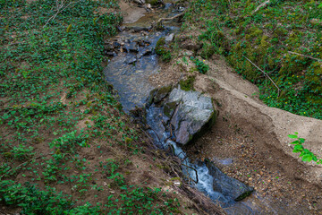 stone steps in the forest