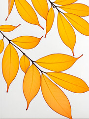 Obraz premium Leaf/leaves/brown/yellow