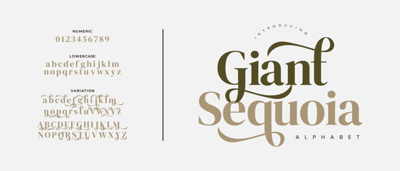 Giant elegant font alphabet uppercase lowercase and number. Classic lettering minimal fashion designs. Typography modern serif fonts regular decorative vintage concept. Vector illustration