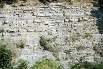 Rocky coastal cliff of New Zealand with tropical vegetation