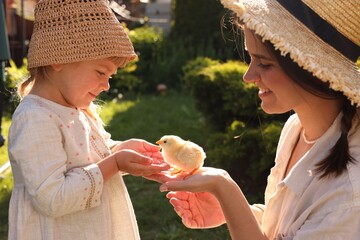 Happy mother and her little daughter with cute chick outdoors