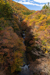 日本の風景・秋　群馬県沼田市　紅葉の吹割の滝（吹割渓谷）