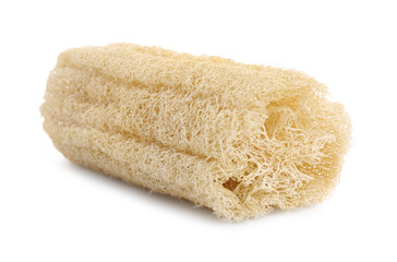 Loofah sponge isolated on white. Personal hygiene product
