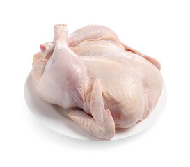 One fresh raw chicken isolated on white