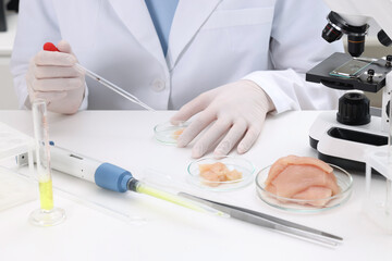 Quality control. Food inspector examining meat in laboratory, closeup