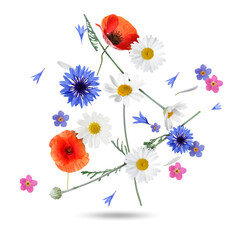 Beautiful meadow flowers falling on white background
