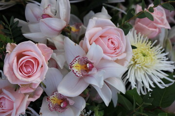 Pink roses and Cymbidium orchids