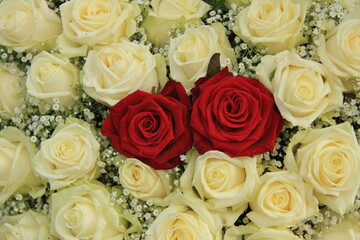 red roses in a white bouquet