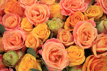 Yellow and orange roses
