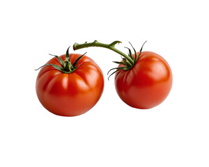 Two tomatoes with stems isolated on a transparent background