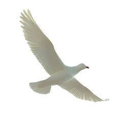 Obraz premium a white bird flying in the sky with its wings spread, transparent background png