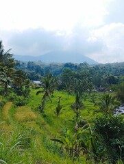 Obraz premium Bali Island : landscape with clouds