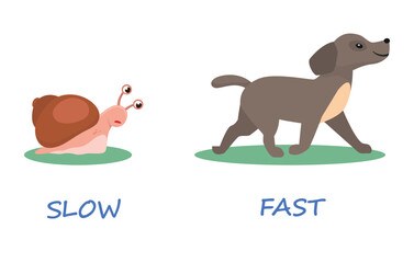 Opposite antonym words slow and fast illustration of snail and dog